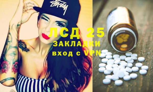 mix Богородицк